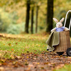 Ein ausgestopfter Hase in einem blauen Pullover sitzt in einem Weidenkorb auf Rädern, der teilweise von der KraftKids Babydecke Doppelkrepp Grün Herbstgrün bedeckt ist, auf einem Weg in einem grasbewachsenen, baumbestandenen Park.