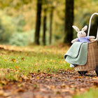 Ein Weidenwagen mit zwei Rädern enthält die KraftKids Babydecke Doppelkrepp Grün Jade und ein ausgestopftes Kaninchenspielzeug. Der Wagen steht auf einem Feldweg in einem Park, umgeben von Gras und Bäumen mit Herbstlaub.